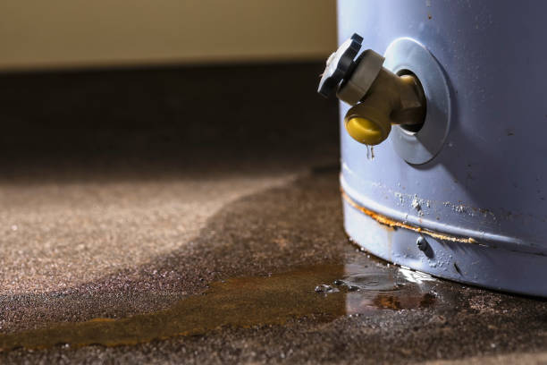 Best Flood damage cleanup  in University At Buffalo, NY