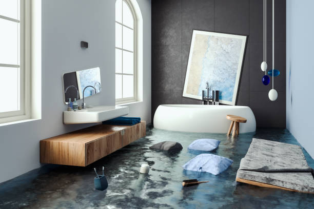 Best Mold removal after water damage  in University At Buffalo, NY