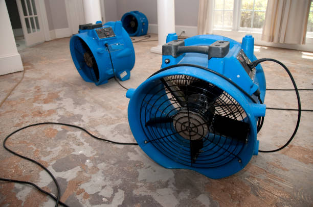 Best Water damage restoration near me  in University At Buffalo, NY