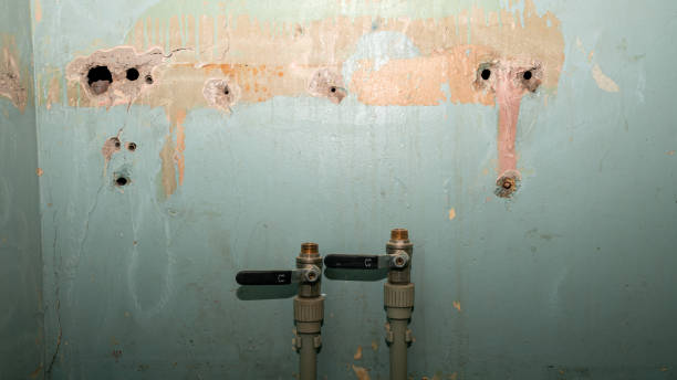 Best Sewage cleanup and water damage restoration  in University At Buffalo, NY