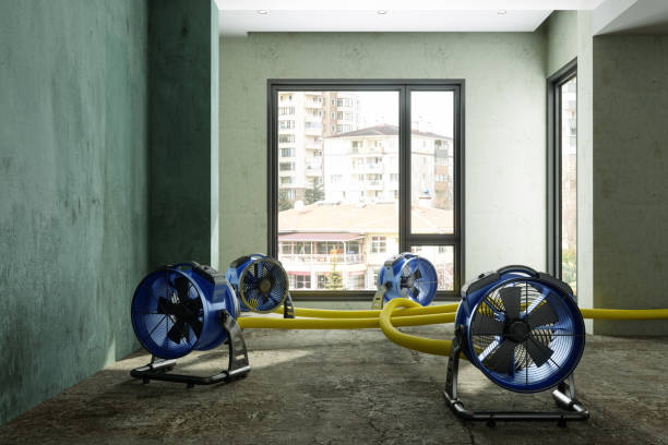 Best Sewage cleanup and water damage restoration  in University At Buffalo, NY